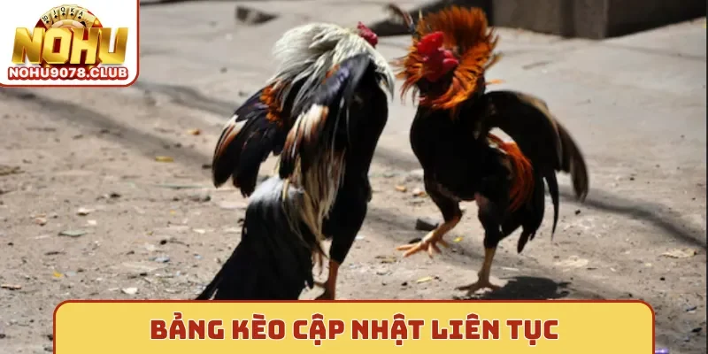 Bảng kèo cập nhật liên tục