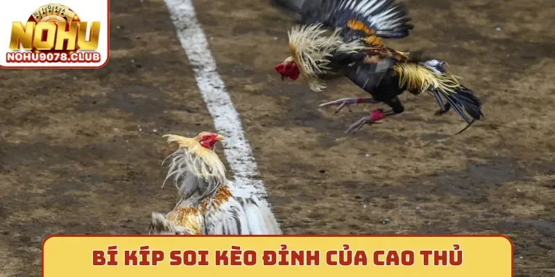 Bí kíp soi kèo đỉnh của cao thủ